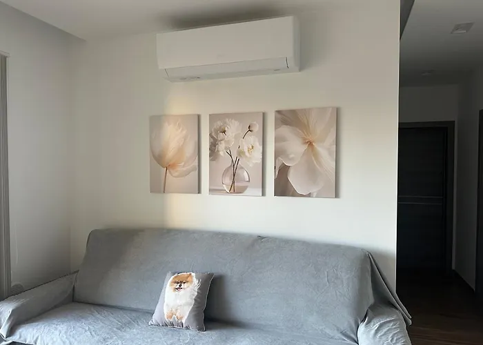 Brand New 2 Bedroom In Hal Apartment