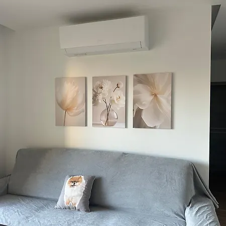 Brand New 2 Bedroom In Hal Apartment